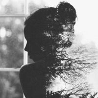 Венера Успанова