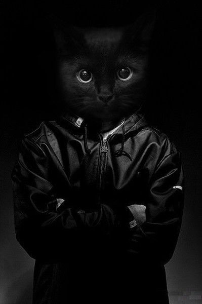 Тима Есипович