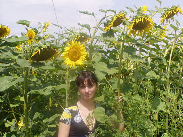 Ирина Алещенко