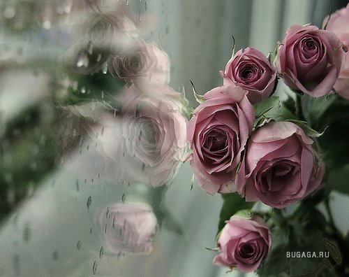 Агзия Турсынбай Кызы