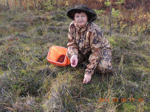 Нэлли Сабаева