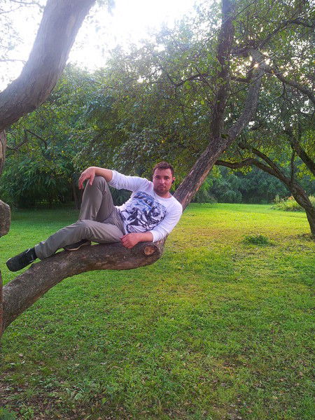 Владимир Орлов