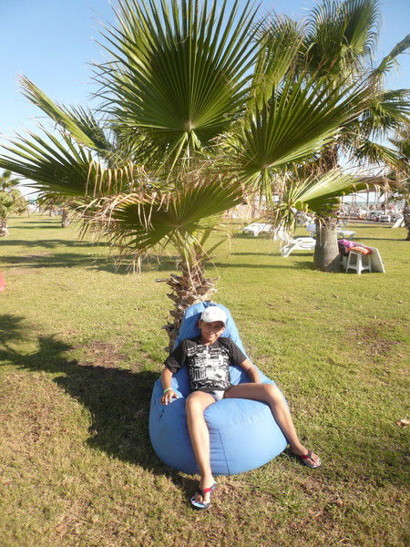 Зомби Ферма