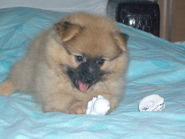 Екатерина Алексеева