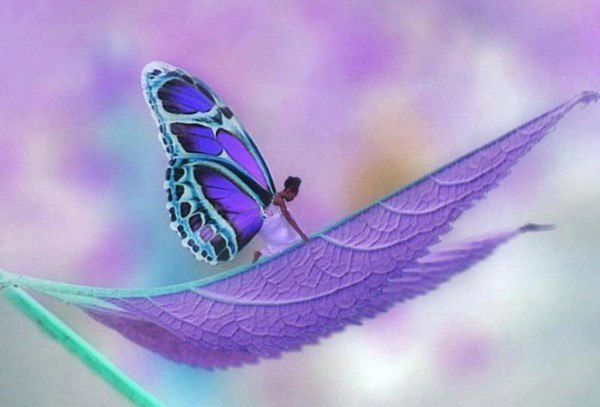 Надежда Линская