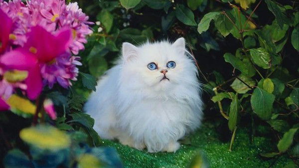 Наташа Колчугина