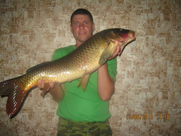 Иван Романский