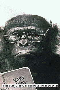 Виталий Дударев