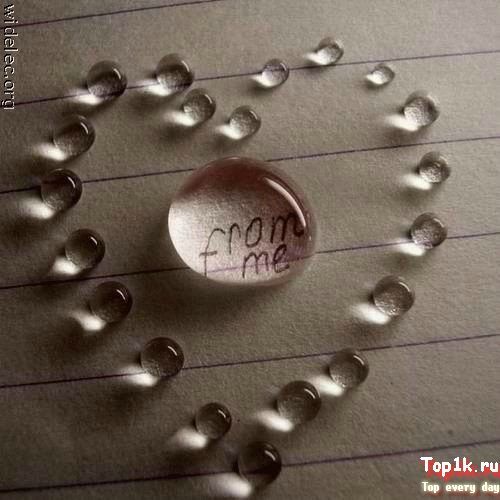 Маргарита Акимова