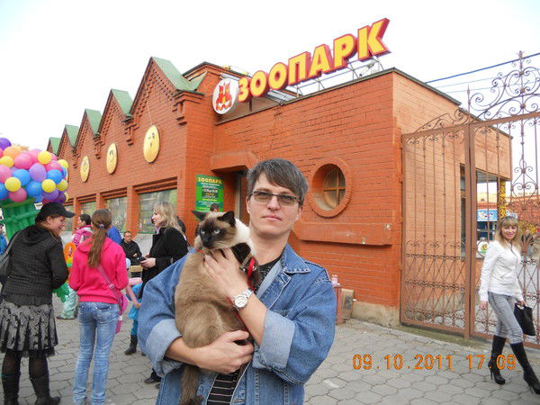 Дмитрий Сарапулов