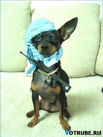 Ольга Сагирова