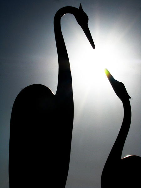 Денис Намазов