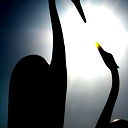 Денис Намазов