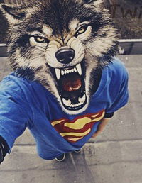 Максим Чернышов