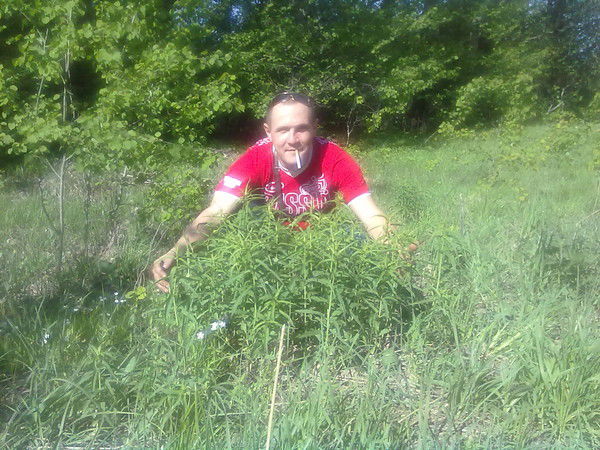 Алексей Сапрыкин