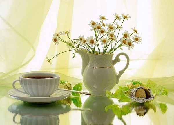 Тома Иванова