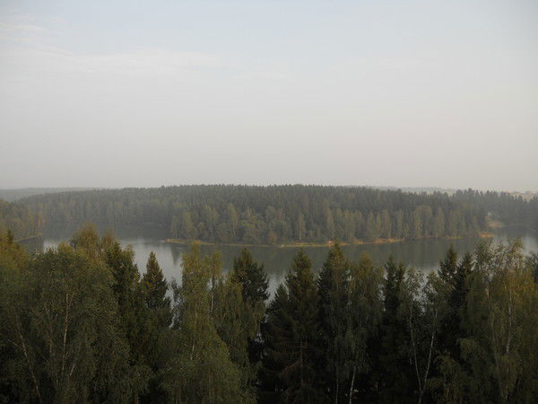 Юрий Соловьев