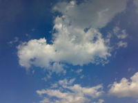 Марина Ларина