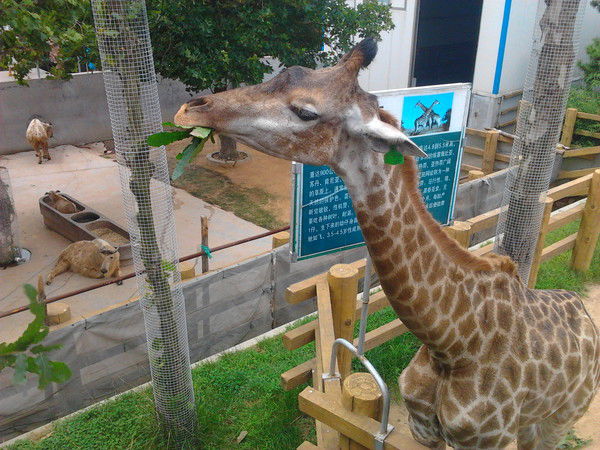 Валентин Шилимов