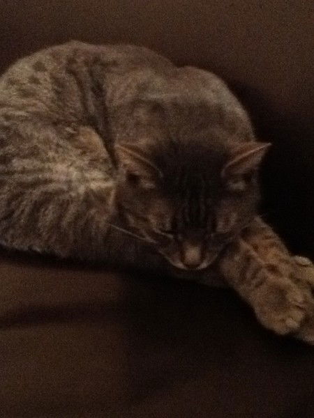 Сергей Веселов