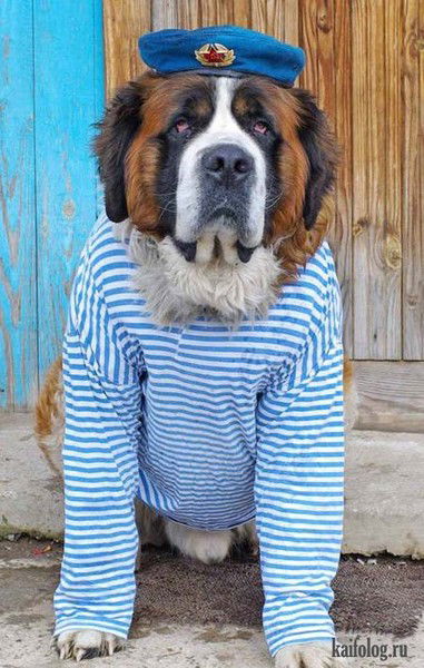 Валерий Фомин