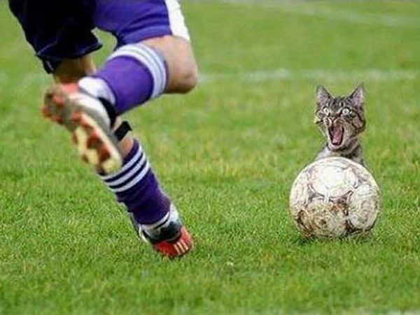 Ванек Михайлов