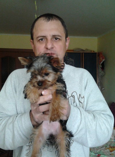 Вова Лысогор