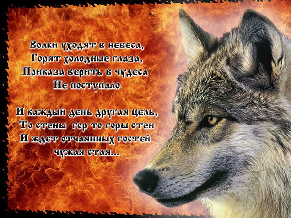 Сергей Анисимов