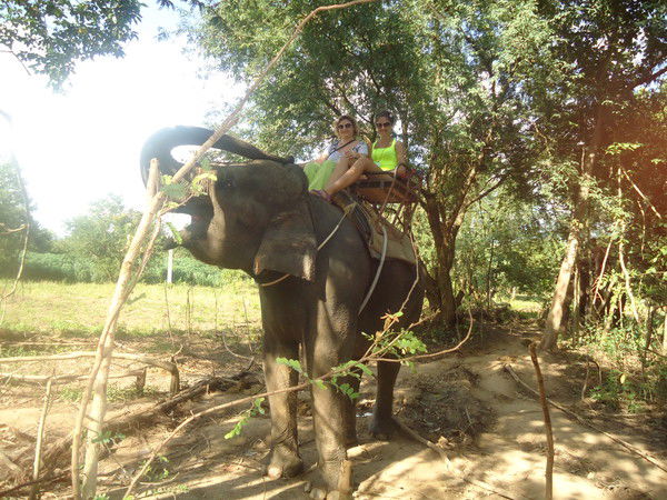 Надежда Александрова