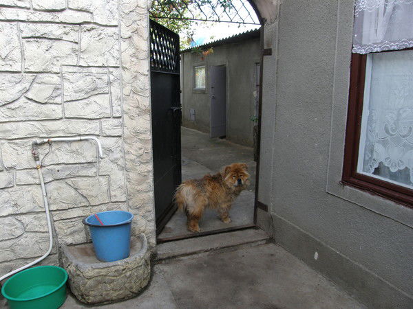 Оля Кабанова