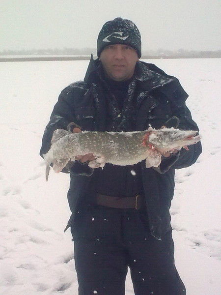 Андрей Деревянченко