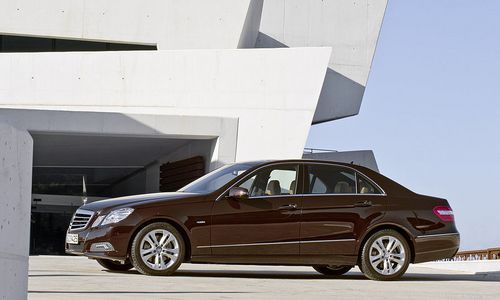 Светлана Касьян