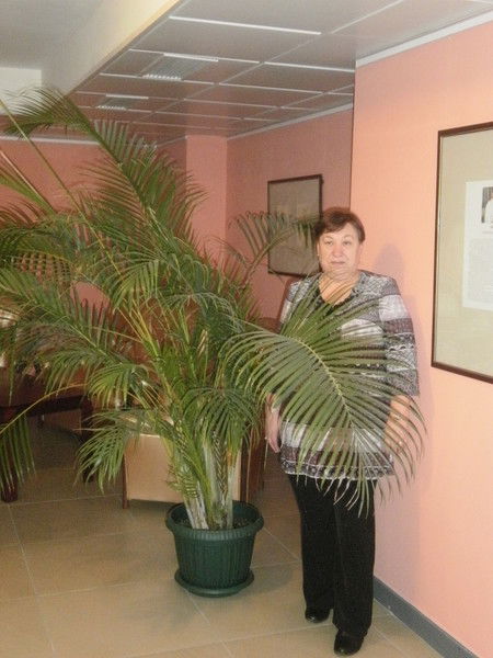 Елена Мягкова