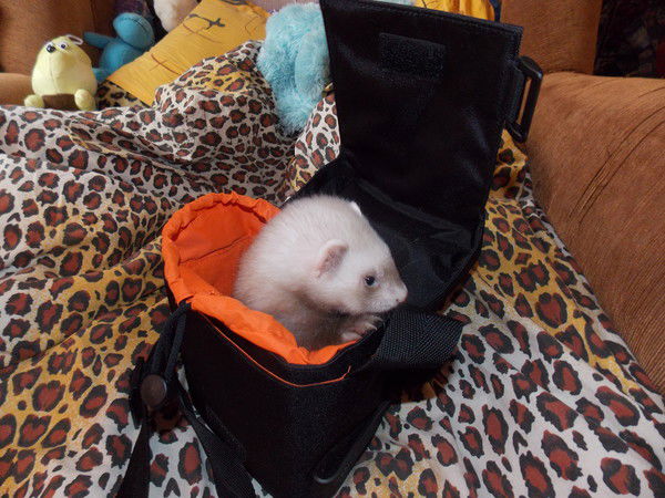 Нина Михайлова