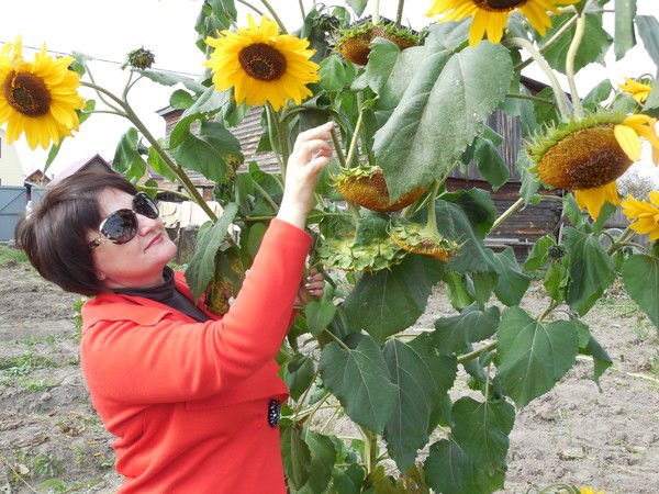 Лариса Малышкина