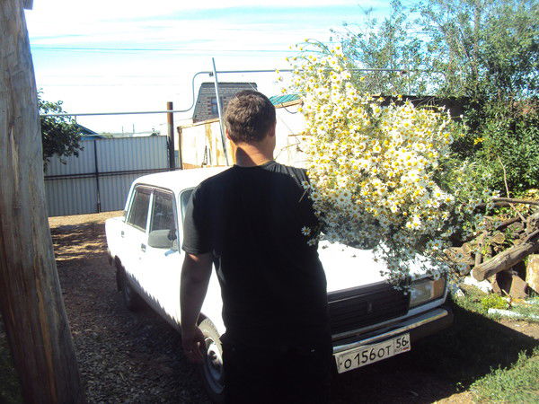 Александр Иноземцев