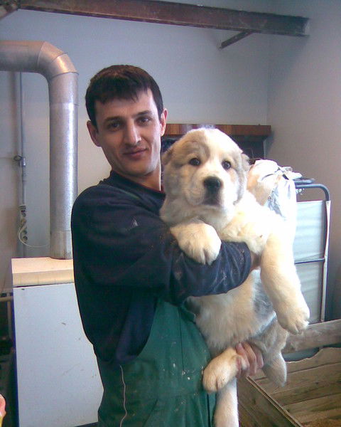 Шамсиддин Раджабов