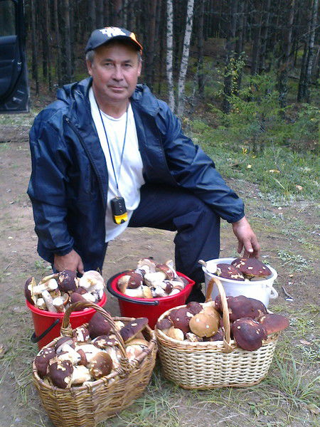 Владимир Зинин