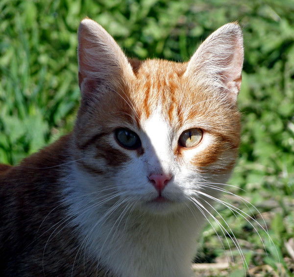 Татьяна Беликова