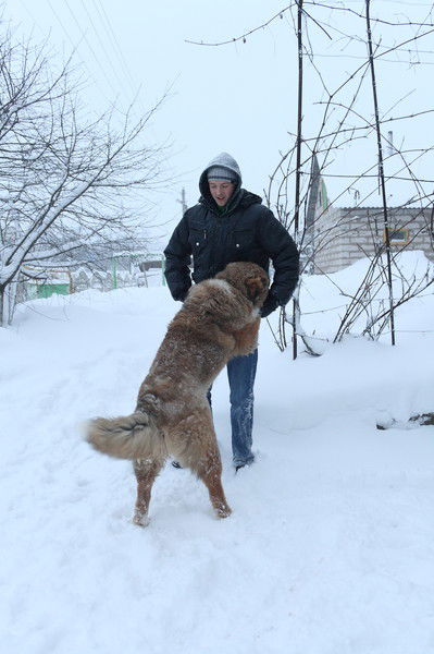 Никита Храмко