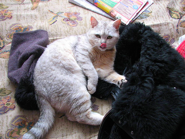 Епифан Иванов