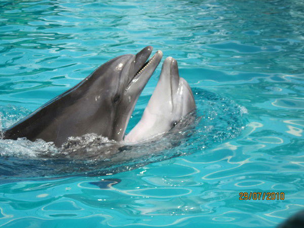 Татьяна Працкевич