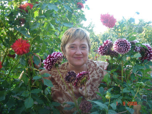 Света Бехтольд