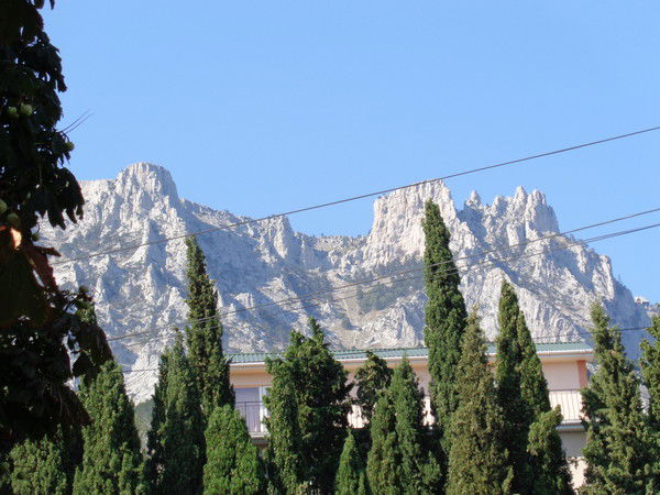 Артур Мадер