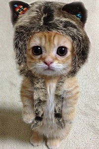 Юлия Павлова