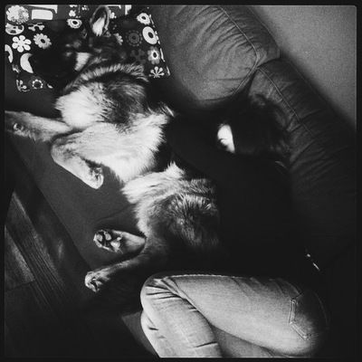 Анастасия Лубневская