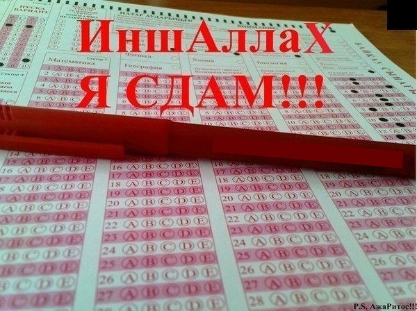 B_E_K_S_U_L_T_A_N K_A_L_M_A_N_O_V