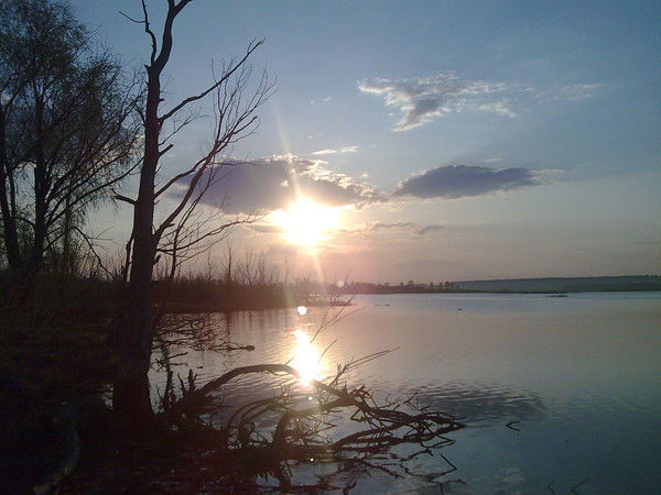 Дмитрий Долгих