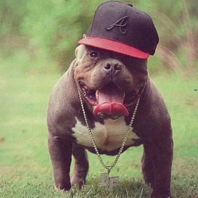 Марат Алиев