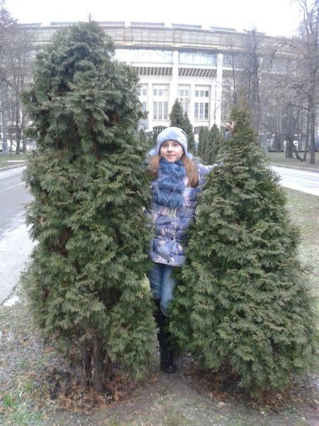 Анна Степанова